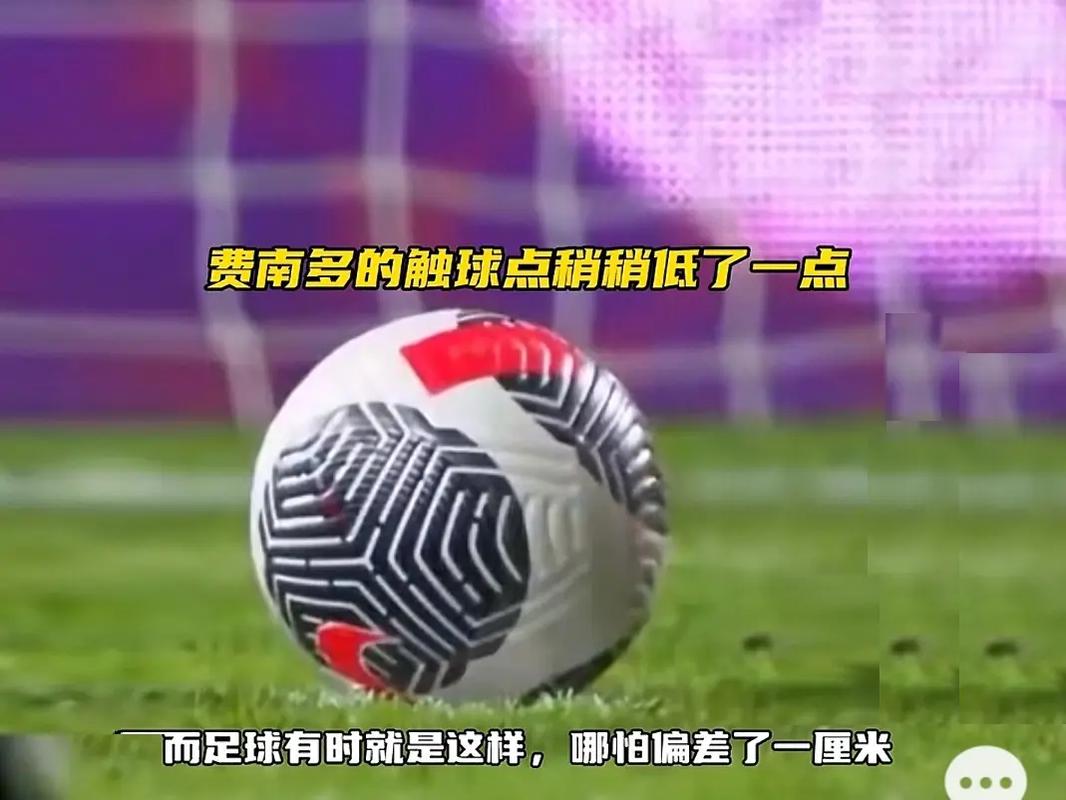 球爱好者将